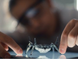 Portafolios de innovación