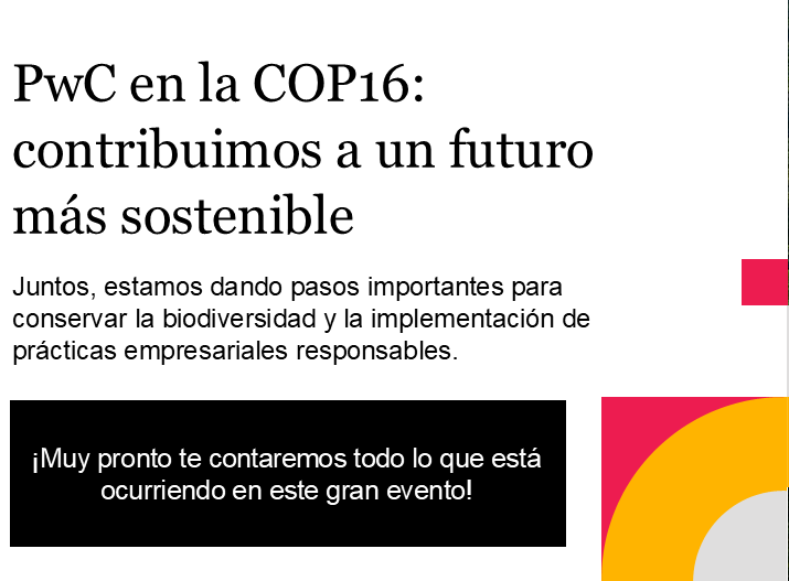 PwC en la COP16